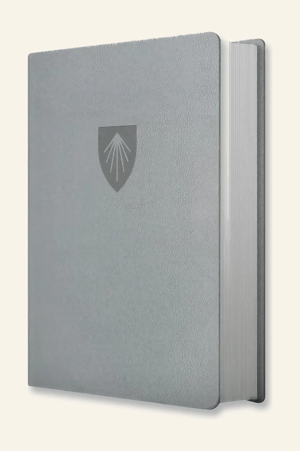 Biblia de estudio Andrews, gris