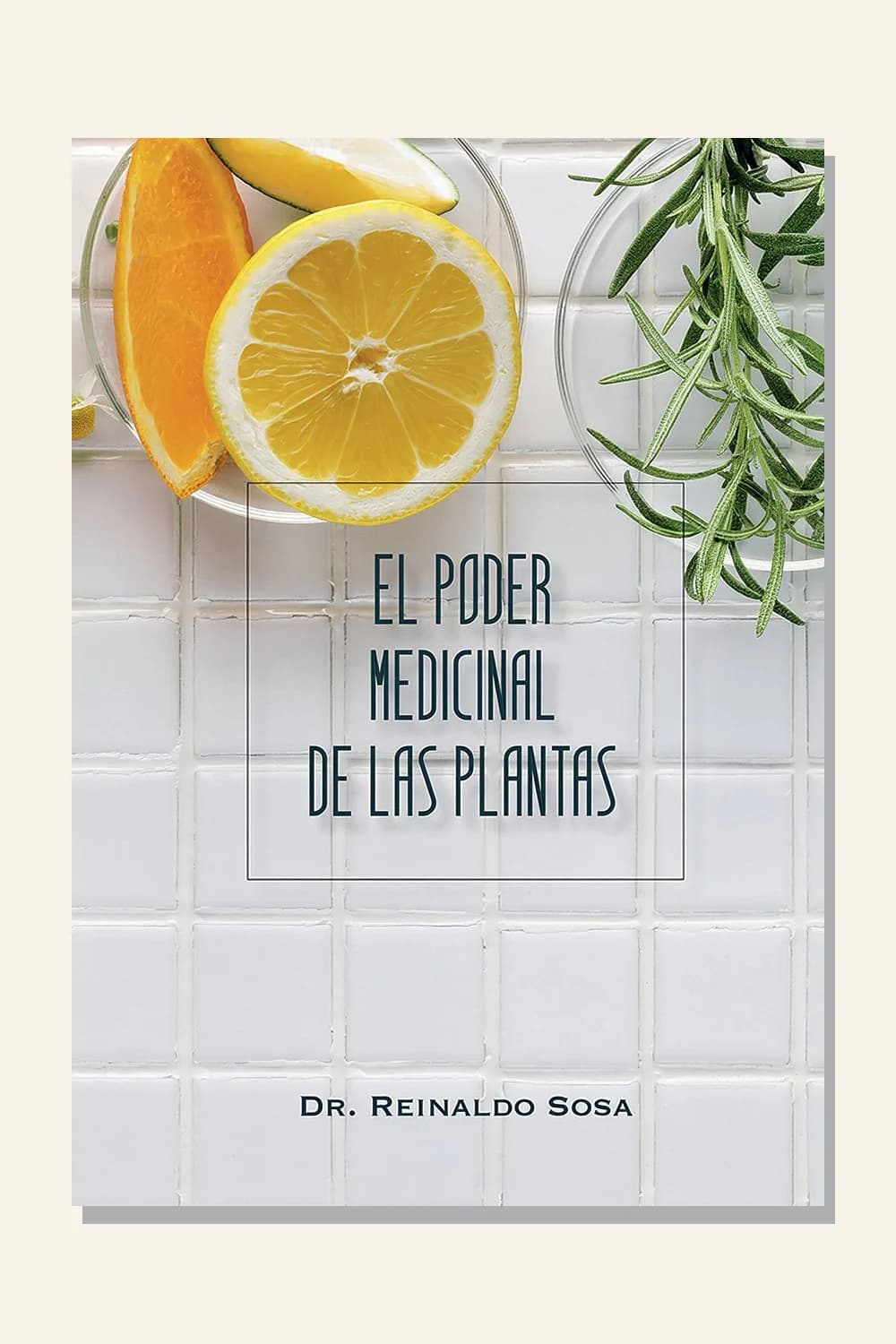 El poder medicinal de las plantas